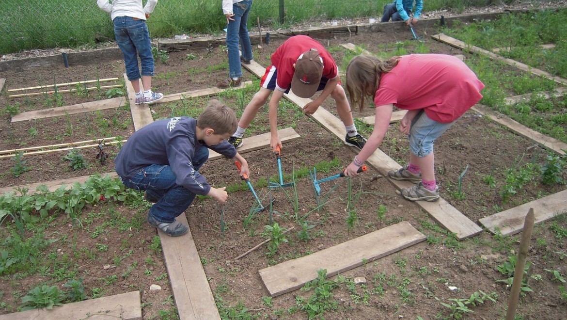 school-garden-1737320_1280